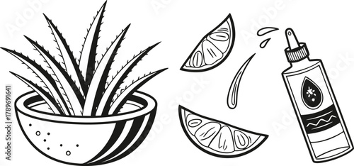 A black and white illustration depicting several elements related to aloe vera. On the left, an aloe vera plant with long, pointed leaves, characterized by spiky edges, is positioned in a round bowl. 