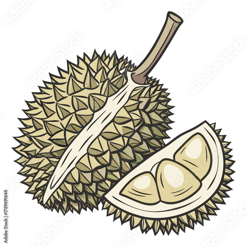 A whole durian fruit is cut open to reveal its creamy flesh and seeds presented in a clean illustration