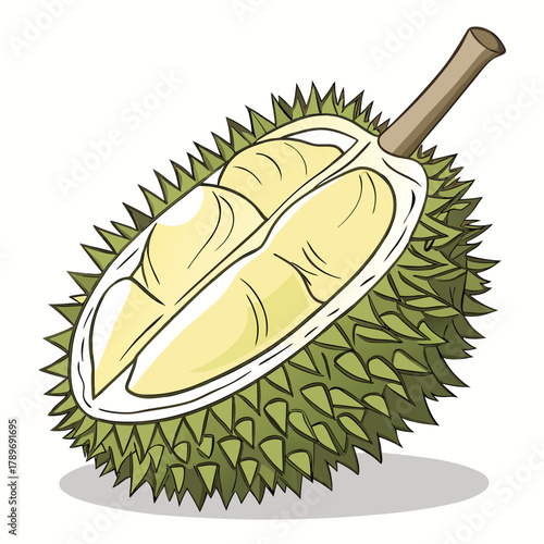 A vibrant illustration of a ripe durian fruit cut in half revealing its creamy yellow flesh and thorny green rind
