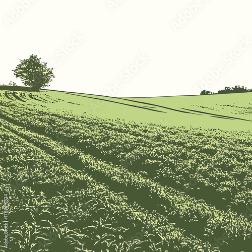 Stylized illustration of a rolling green agricultural field with a lone tree and a distant treeline under a clear sky