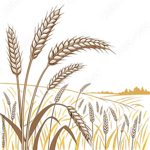 Stylized illustration of golden wheat fields under a bright sky with detailed stalks in the foreground