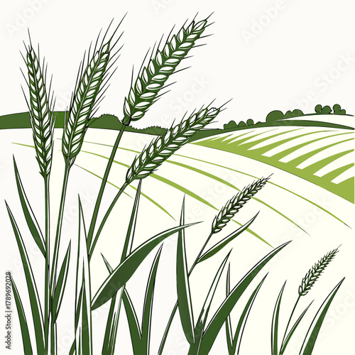 Stylized illustration of green wheat stalks in the foreground with a rolling agricultural field and distant trees under a bright sky