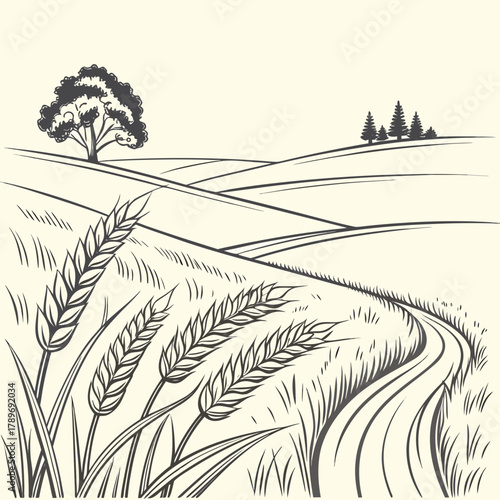 Whimsical hand drawn sketch of rolling hills and a wheat field with a lone tree and distant pine trees