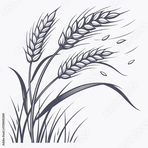 Stylized illustration of ripe wheat stalks with falling grains against a white background