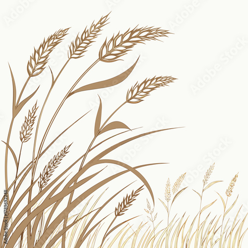 Stylized illustration of golden wheat stalks and blades swaying gently against a soft white background