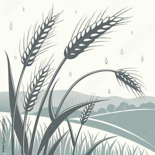 Stylized illustration of ripening wheat stalks swaying gently in the rain over rolling hills and fields