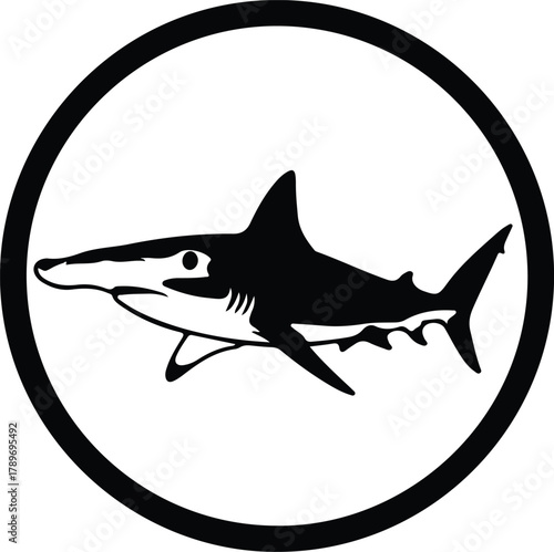 Illustration of shark predatory marine animal in black silhouette vector