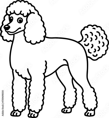 A detailed, grayscale line drawing of a standard poodle dog is centered on a white background. The poodle is in a standing pose, its body oriented to the right, though its head is turned slightly to f