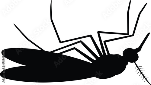 Black Silhouette of a Dead Mosquito on its Back, Symbolizing Pest Control, Insecticide Effectiveness, Disease Prevention, and Extermination