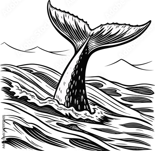 A detailed illustration of a whale tail emerging from the ocean. The tail is the central subject, depicted in a classic black and white, cross-hatching style. The tail rises vertically from the waves,