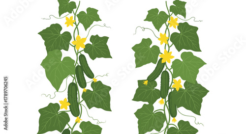 A pair of symmetrical borders featuring cucumber vines with green leaves, yellow flowers, and ripe cucumbers.