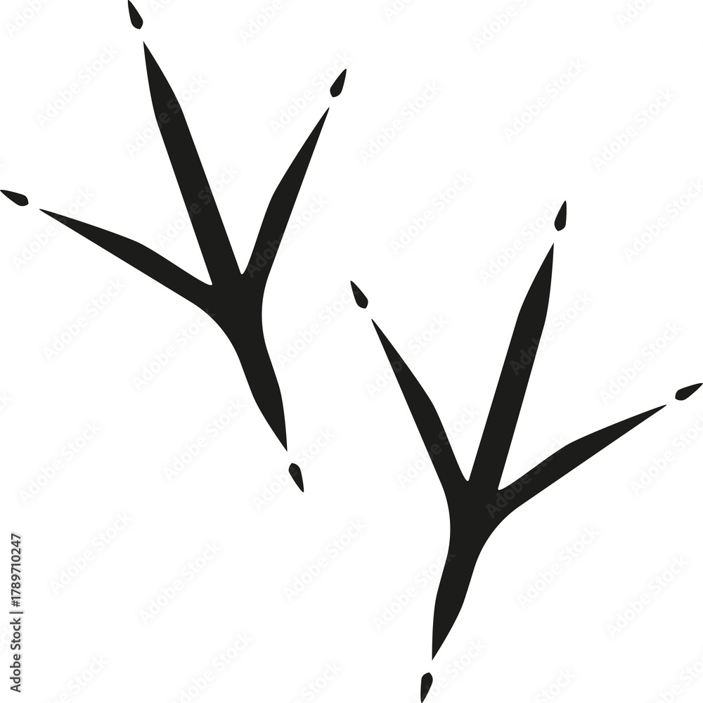 image to crop