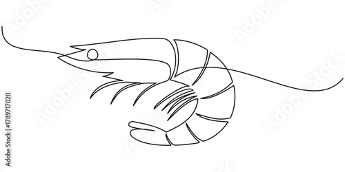 Continuous line drawing of fresh shrimp for seafood logo identity, Continuous one line drawing of shrimp. Hand drawn one line vector. Editable stroke