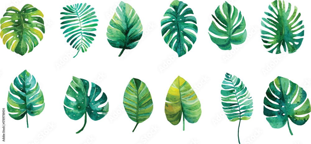 Fototapeta premium vector set of green leaves