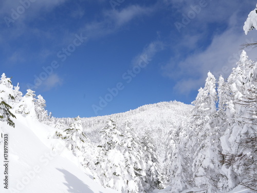 Wallpaper Mural 雪景色のイメージ素材 Torontodigital.ca