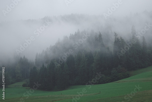 fog in the mountains