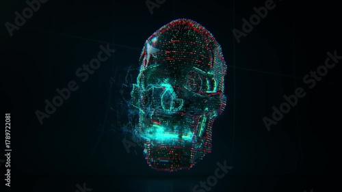 human skull x ray scan