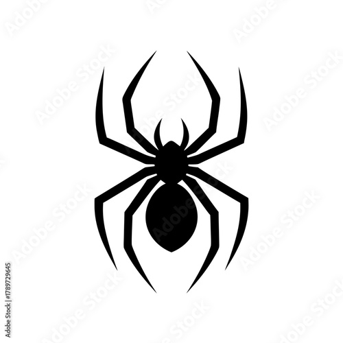 Illustration of a black spider with eight legs and body on transparent background
