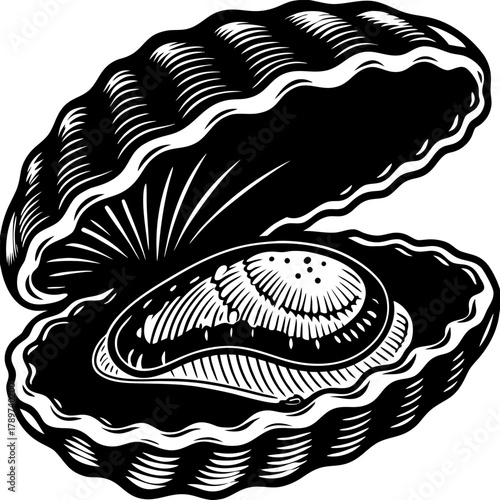 An intricately detailed black and white illustration of an oyster shell, open to reveal a single oyster. The shell is depicted in a side view, revealing its undulating, ridged texture. The interior of