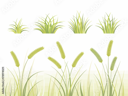 An artistic representation of different types of grass, showcasing the beauty of nature's variety and the intricacies of plant life in a minimalistic style.
