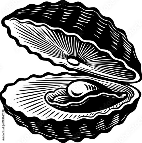 An intricately detailed black and white illustration of an oyster shell, open to reveal a single oyster. The shell is depicted in a side view, revealing its undulating, ridged texture. The interior of