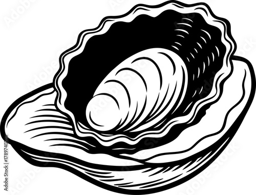 An intricately detailed black and white illustration of an oyster shell, open to reveal a single oyster. The shell is depicted in a side view, revealing its undulating, ridged texture. The interior of