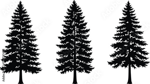 PrintPine tree silhouettes, black evergreen conifer forest illustration, isolated fir trees on white background, vector nature design, outdoor woodland graphic art
