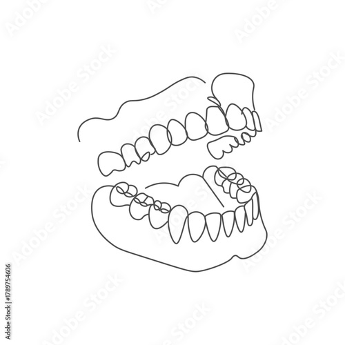 continuous line drawing of a Human Teeth