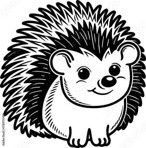 A cartoon illustration of a hedgehog, centered in the frame, is depicted in a simple, line-art style. The hedgehog faces the viewer and is presented in a side profile. Its body is light, while its spi