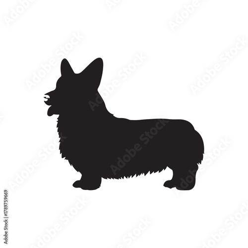 Pembroke welsh corgi silhouette vector flat illustration