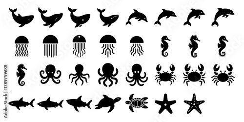 sea life icon set marine animal silhouettes for ocean design. aquarium logotype template, nautical vector illustration