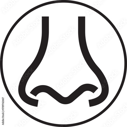 Human nose icon in flat medical, anatomy and cosmetic style. Vector illustration for healthcare, smell, respiration, allergy and beauty design concept isolated on transparent background.