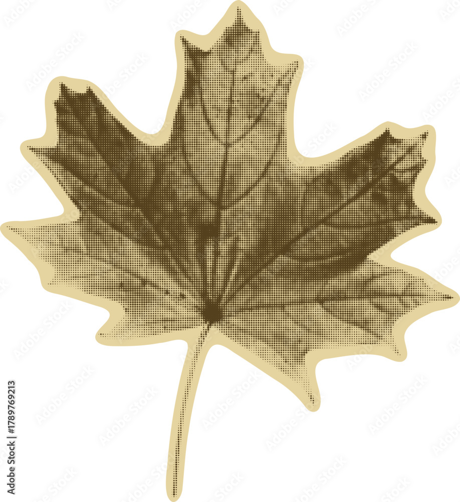 Fototapeta premium Maple Leaf for Collage