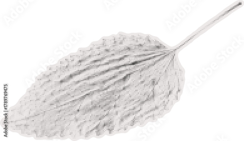 Birch Leaf Halftone