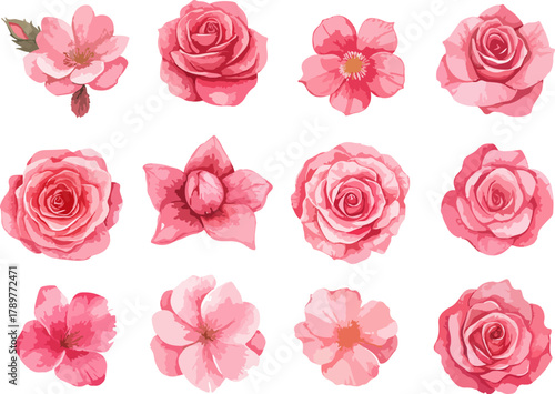 seamless pattern with pink roses