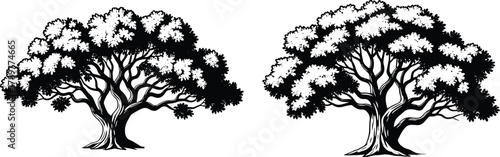 Stylized tree illustrations side by side, botanical design, nature art, foliage texture, landscape element, forest concept, decorative plant drawing