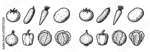 Vegetable Icon Grid