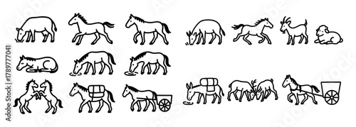 Hoofed Animal Activities