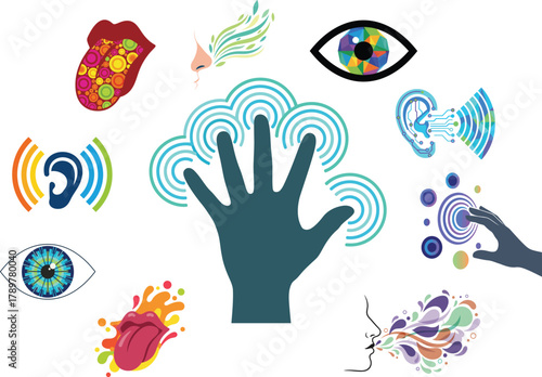 A premium collection of flat color silhouette vectors inspired by human sense organs eye, ear, nose, tongue and hand. Perfect for educational, medical, wellness, science, and creative projects.