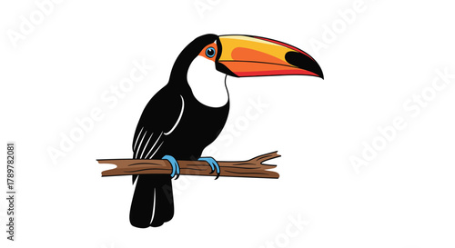 A vibrant cartoon toucan with a prominent orange and black beak, white chest, and black plumage, perched on a branch.
