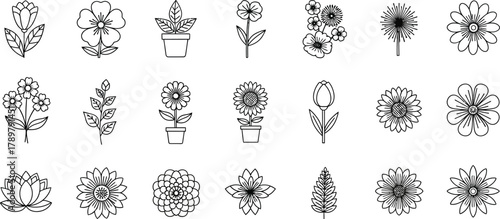 Botanical Line Art Collection Featuring Diverse Flowers, Foliage, and Potted Plants