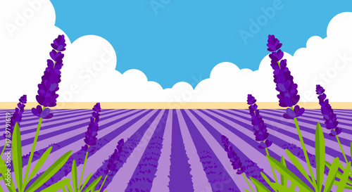 Tranquil lavender field illustration stretching towards the horizon under a serene blue sky with soft clouds, evoking a calm and beautiful natural landscape