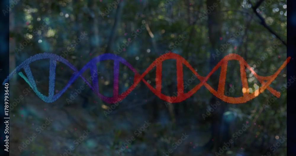 Fototapeta premium Glowing translucent DNA double-helix ribbon spanning wooded clearing, scattering color speckles