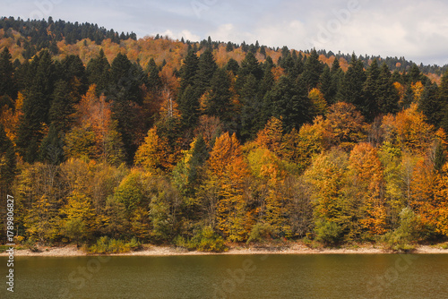 Autumn forest on Lake Shaori, Racha, Georgia.