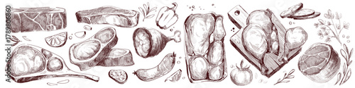 Raw meat cuts sketch set with beef steak, pork pieces, chicken drumstick and vegetables. Hand drawn vector illustrations of fresh ingredients - sausages and herbs, garlic and peppers for culinary.