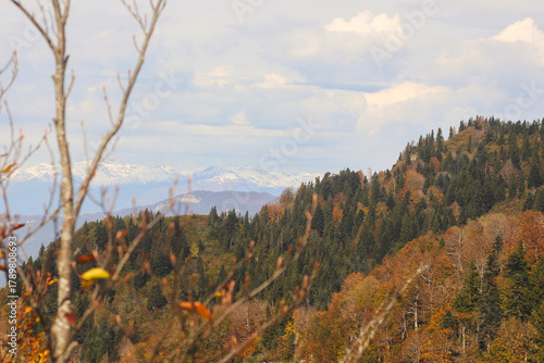 Autumn view from Tskhrajvari, Racha, Georgia.