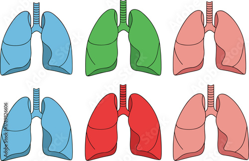 Human lung illustration, colorful respiratory icons, trachea and lung variations, medical theme, educational set, flat vector design