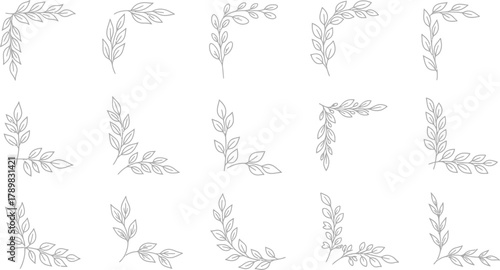 Leaf Corner Border Collection Delicate Gray Botanical Frames on Transparent Background