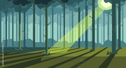 Sunlight streams through a dense forest, casting long shadows on the ground, creating a serene and enchanting natural landscape