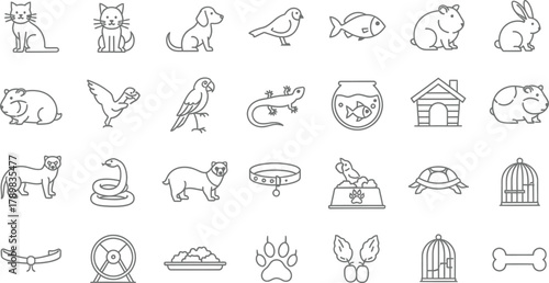 Line Art Pets and Supplies Set Cat, Dog, Bird, Fish, Rabbit, Snake, Food, and More
